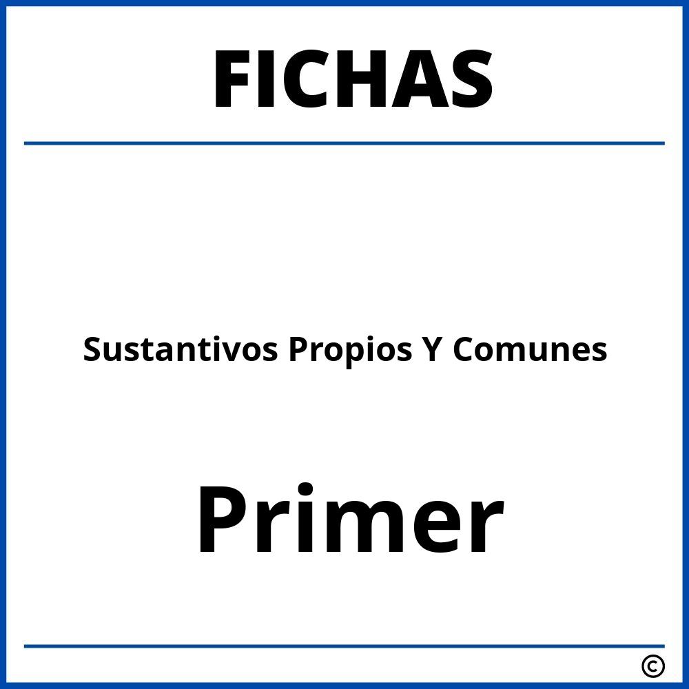Fichas De Sustantivos Propios Y Comunes Para Primer Grado 102885 The Best Porn Website 2726