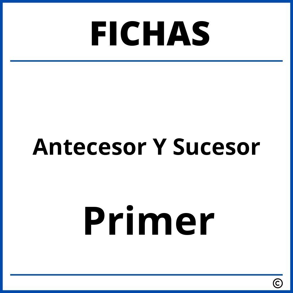 Fichas De Antecesor Y Sucesor Para Primer Grado