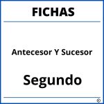 Fichas De Antecesor Y Sucesor Para Segundo Grado