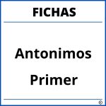 Fichas De Antonimos Para Niños De Primer Grado