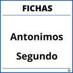 Fichas De Antonimos Para Segundo Grado