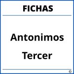 Fichas De Antonimos Para Tercer Grado