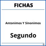 Fichas De Antonimos Y Sinonimos Para Segundo Grado De Primaria