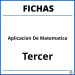 Fichas De Aplicacion De Matematica Para Tercer Grado