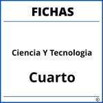 Fichas De Ciencia Y Tecnologia Para Cuarto Grado De Primaria
