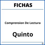 Fichas De Comprension De Lectura Para Quinto Grado