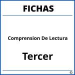 Fichas De Comprension De Lectura Para Tercer Grado