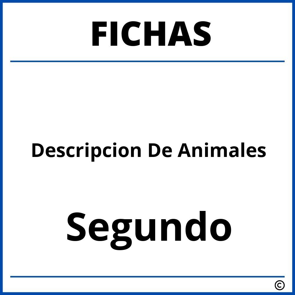 Fichas De Descripcion De Animales Para Segundo Grado