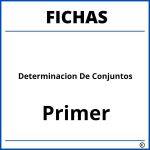 Fichas De Determinacion De Conjuntos Para Primer Grado