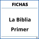 Fichas De La Biblia Para Primer Grado
