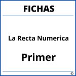 Fichas De La Recta Numerica Para Primer Grado