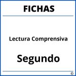 Fichas De Lectura Comprensiva Para Segundo Grado