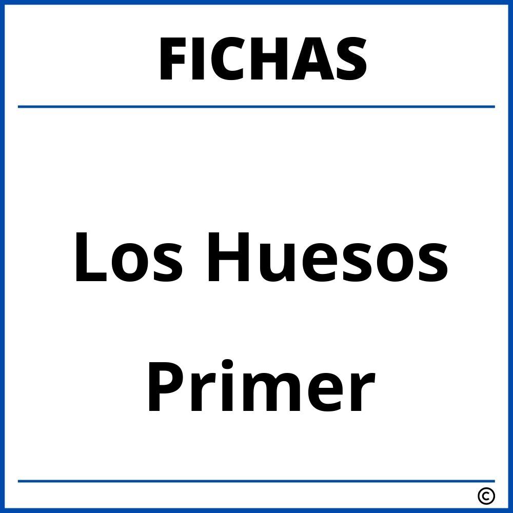 Fichas De Los Huesos Para Primer Grado