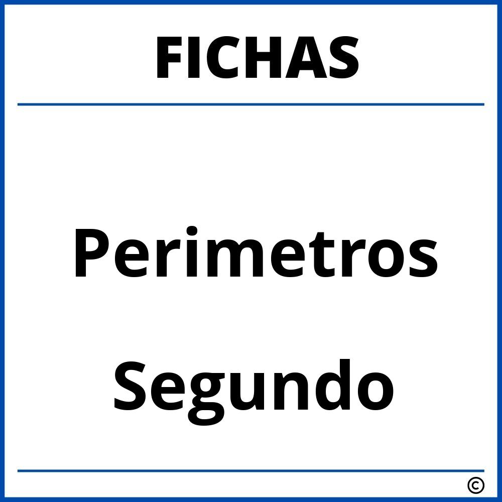 Fichas De Perimetros Para Segundo Grado