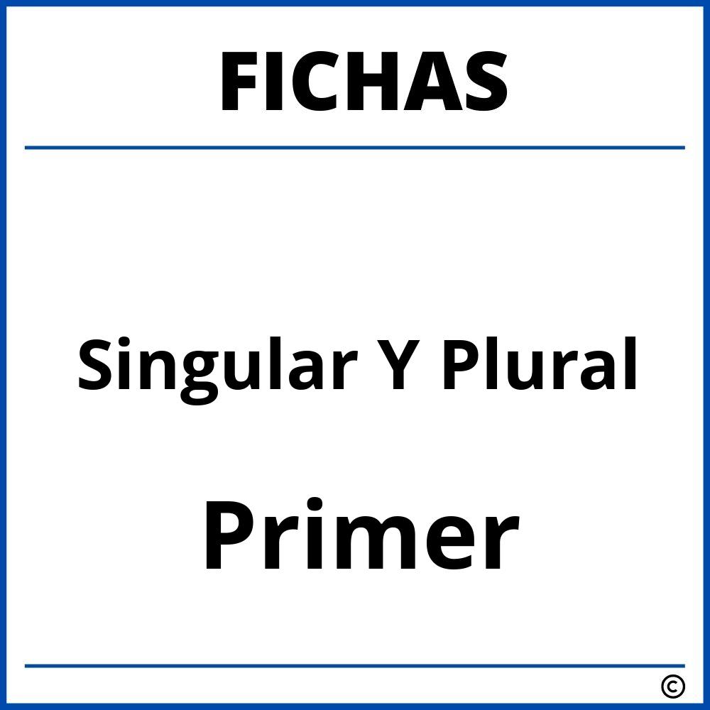 Fichas De Singular Y Plural Para Primer Grado