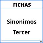 Fichas De Sinonimos Para Tercer Grado