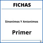 Fichas De Sinonimos Y Antonimos Para Primer Grado
